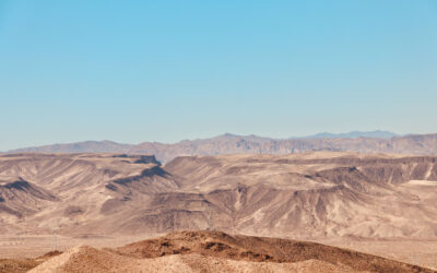 Ensure Compliance with Nevada Prevailing Wage Laws